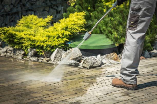 Best Pre-Holiday Cleaning  in Colusa, CA