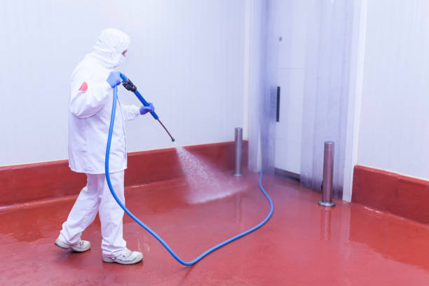 Best Dumpster Area Cleaning  in Colusa, CA