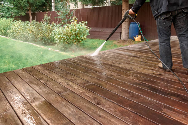 Best Fence Cleaning  in Colusa, CA